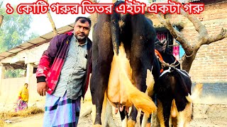 ১ কোটি গরুর ভিতর এইটা একটা গরু  নতুন প্যাকেজ  জানতে ফুল ভিডিওটা দেখুন [upl. by Nikki]