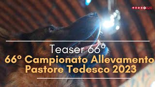 Teaser 66° Campionato Allevamento Pastore Tedesco 2023 [upl. by Hazen]