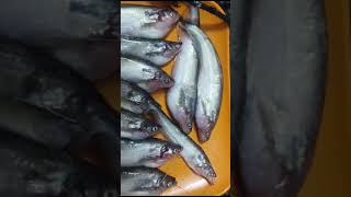 Purono sriti food highlightes viralvideo highlights viralreelsシ love viralreels [upl. by Aicelet]