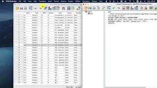 Converting Likert Data to Categorical Data  SPSS [upl. by Gerkman]