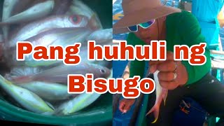 Isdang Bisugo  Pang huhuli fishing fishing fishingvideo viralvideo fish [upl. by Atsirk]