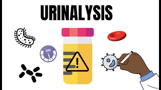 Urinalysis Interpretation QUICK and EASY [upl. by Eitsym76]