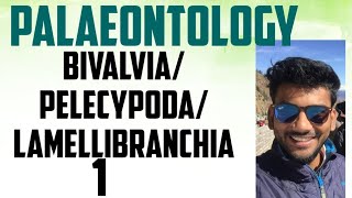 palaeontology lecture series bivalvia pelecyopoda lamellibranchia part12 [upl. by Hess]