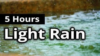 ASMR Rain  Delicate Light RAIN for 5 HOURS  Sleep Sounds  Relaxation [upl. by Ellemaj]