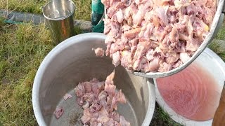 CHICKEN FRY CURRY MAKING FOR 500 NUMBERS  100KGS CHICKEN RECIPE  PARTY RECIPES street food [upl. by Nuri]