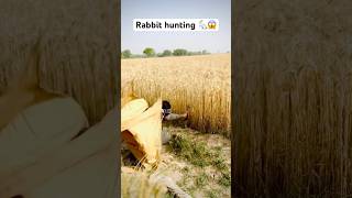 Rabbit hunting  Khargosh ka shikar 🐇😱 hunting rabbit farming khargosh rabbits hunter [upl. by Bruis]