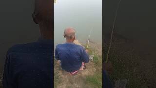 River fish catch 🐠viralshort shortsfeed viralshort fishing [upl. by Ardnoed]