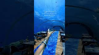 Maldives Underwater Restaurant😍 maldives maldivesbeach maldivetrip maldivesresorts maldiveslife [upl. by Remlap792]