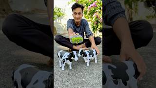 Rc Remote Control Two Cow Unboxing 🐄🔥 [upl. by Bartel404]