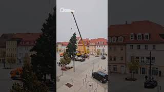 🎄✨ Der Weißenfelser Weihnachtsbaum steht [upl. by Garaway]