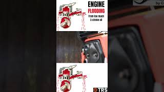 Did you know this about Chainsaw FLOODING and 2Stroke Gas Mix [upl. by Deidre924]