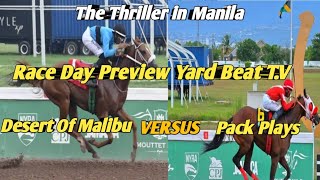 RACE DAY PREVIEW Saturday November 92024YARD BEAT TV [upl. by Adorne]