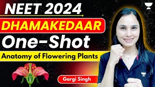 Anatomy of Flowering Plants  Dhamakedaar One Shot  Part2  NEET 2024  Dr Gargi [upl. by Grunenwald609]