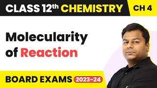 Molecularity of Reaction  Chemical Kinetics  Class 12 Chemistry Chapter 4 202223 [upl. by Rhetta]