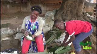 Produire le manioc et le transformer Quelques idées [upl. by Sibyl]