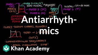 Antiarrhythmics  Circulatory System and Disease  NCLEXRN  Khan Academy [upl. by Otiragram]