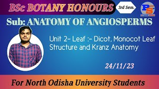 Leaf Dicot Monocot Leaf Structure and Kranz Anatomy Unit 2 Anatomy of Angiosperms [upl. by Yllen]