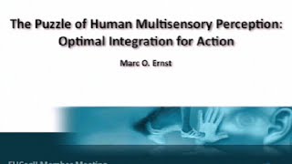 Marc Ernst  quotThe Puzzle of Human Multisensory Perceptionquot [upl. by Eugor]