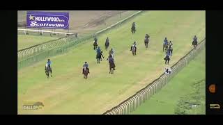 Traditional horse racingScottville PMB 21092024 [upl. by Amehsyt197]