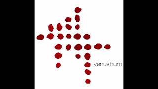 venus hum  self titled cd 2001  07  run annie run [upl. by Aicatsana248]