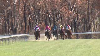 Stanthorpe 20241019 Race 1 [upl. by Powe]