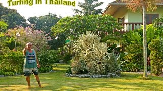 HOW TO LAY TURF in Thailand [upl. by Wetzell186]