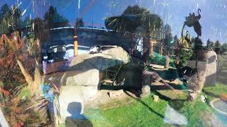 Point Defiance Zoo video 86 5k 30fps 2880p30 [upl. by Dnomyaw]