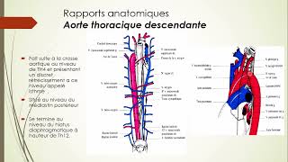 7  Aorte et Artère pulmonaire 4 [upl. by Zetniuq]