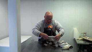 John Griffith Using the SampS Tool Fleshing Machine  Part 2 [upl. by Swenson828]