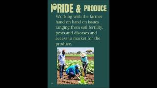 A PROMISE TO THE FARMER FROM PRUDENT FARMSTAR farming farmkenya betterlifefarming farmafrica [upl. by Eiramyelhsa146]