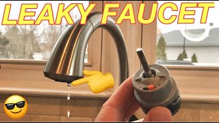 HOW TO FIX A LEAKY DELTA FAUCET  Replacing a Valve Cartridge on a Single Handle Delta Faucet Easy [upl. by Kohcztiy675]