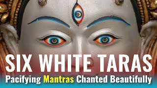 Six White Taras Pacifying Mantras and Introduction Chanted Beautifully in Sanskrit [upl. by Ixela]