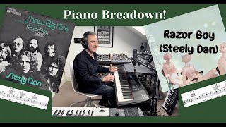 Steely Dan piano breakdown The wonderful song that is Razor Boy [upl. by Knowlton]