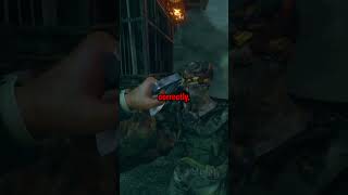 Craziest Glitch in CoD Zombies [upl. by Assirroc221]