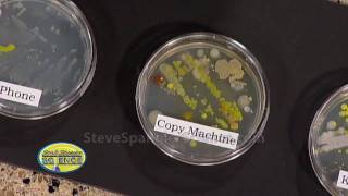 Growing Bacteria  Petri Dish [upl. by Eseilanna]