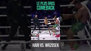 Le plus gros comeback de lhistoire du kickboxing Badr Hari vs Wrzosek Short [upl. by Oirogerg]