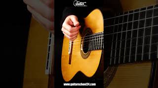 Traditional Mexican Mariachi guitar  great strumming pattern [upl. by Hedve839]