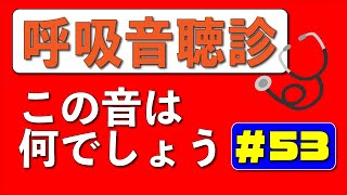 【53日目】毎日1分！こっそり呼吸音の聴診ができるようになりませんか？ [upl. by Annig]