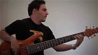 Guaicá  César Camargo Mariano  Bass Cover [upl. by Niuqram128]