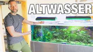 Aquaristik ohne Wasserwechsel Ja oder Nein [upl. by Tham]