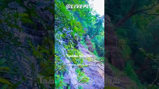 Talakona Waterfalls Top View [upl. by Portia842]