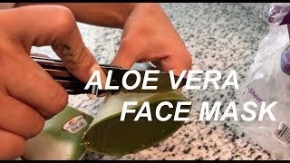 Aloe vera face mask [upl. by Lakim]