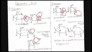 glycosidic bond Biochemistry [upl. by Alimaj]