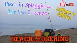 BEACHLEDGERING  CATTURE A RAFFICA IN MEZZO AD UN MARE DI ALGHE  IN PESCA 2023 [upl. by Sinnel949]