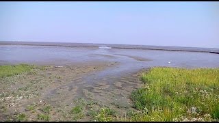 Weltnaturerbe Wattenmeer [upl. by Aleira]