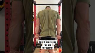 Top 3 Forearm Builders forearmworkout forearms samsulek [upl. by Gold718]