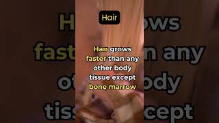 The Amazing Growth of Hair Faster Than Any Other Body Tissue [upl. by Shelia]