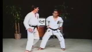 Seiunchin Bunkai Isshinryū Karate [upl. by Vanni]