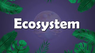 Bio 12  Chapter 25  Ecosystem  Hindi  Urdu [upl. by Letnohs783]