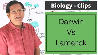 Giraffe’s Neck According to Lamarck amp Darwin  Biology Clips [upl. by Theodore]